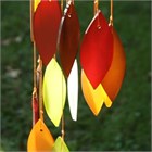 Spirale de feuilles, h&#234;tre