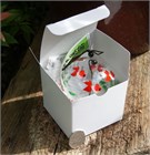 Furin avec cinq poissons rouges