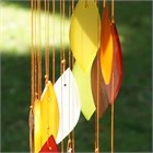 Spirale de feuilles, h&#234;tre