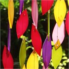 Feuilles de cascade, la vigne