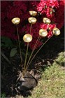 Woodstock Cloches de Jardin